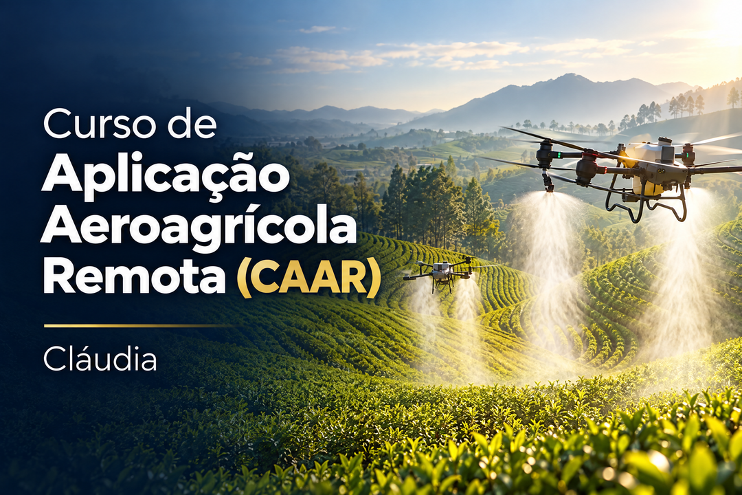 Curso